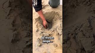 IM SAND GRABEN um einen SCHATZ ZU FINDEN 😱 [upl. by Portwin78]