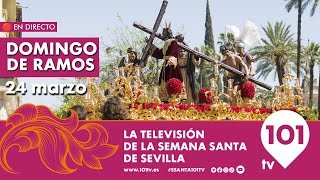 🔴 EN DIRECTO  Domingo de Ramos  Primera Parte  Semana Santa Sevilla  24 marzo 2024 [upl. by Ariana997]