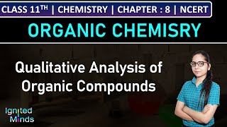 Class 11th Chemistry  Qualitative Analysis of Organic Compounds  Chapter 8 Organic Chemistry [upl. by Barbabas]