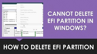 How to Delete EFI Partition in Windows 10  Windows 11 [upl. by Annahvas]