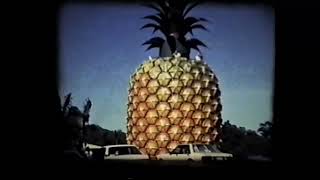 Big Pineapple in 1983 [upl. by Durman]