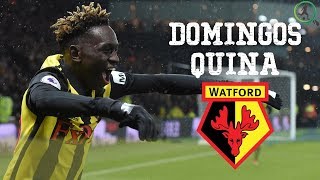 DOMINGOS QUINA  WATFORD WONDERKID [upl. by Neemsay863]