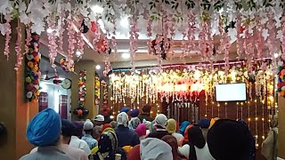 Gurudwara Kotwali Sahib  Live Kirtan  Morinda [upl. by Verlee590]