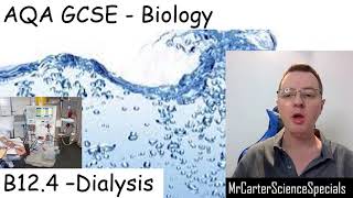 B124  Kidney Function and Dialysis  AQA Biology GCSE 91 [upl. by Llenoj]