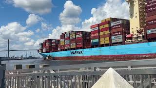 GJERTRUD MAERSK Container Ship Surprises Downtown Savannah [upl. by Akemot]