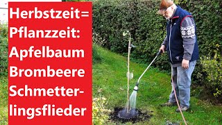 Herbstzeit  Pflanzzeit Apfelbaum Brombeere Schmetterlingsflieder Film 138 [upl. by Birecree]