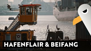 Hafenflair amp Beifang ⚓️ Livestream aus dem Hamburger Hafen [upl. by Enrico]