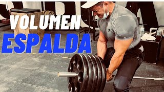 CREANDO VOLUMEN EN ESPALDA ENTRENAMIENTO [upl. by Pamela]