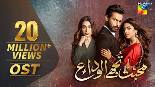 Mohabbat Tujhe Alvida  Full OST  HUM TV  Drama [upl. by Godiva]