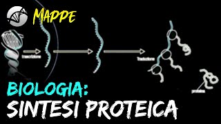 MAPPA Biologia  La Sintesi Proteica [upl. by Nahtaoj]