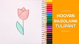 Hogyan rajzoljunk tulipánt 🌷  Rajzoktatás ovisoknak  Anyák napja [upl. by Carlynn]