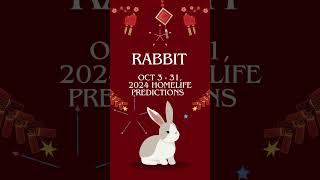 🐰 Rabbit Homelife Predictions October 3  31 2024 chineseastrology [upl. by Drugge]