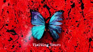 Ed Sheeran  Visiting Hours Official Lyric Video [upl. by Nesyla]