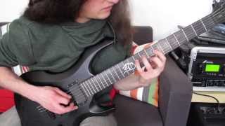 Protest The Hero  Sequoia Throne Guitar Cover [upl. by Bravar135]