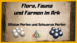 🦖ARK‬ Survival Evolved 🦖 Silizium und Schwarze Perlen INFO GUIDEDeutsch Farmen Rohstoffe 2022 [upl. by Ruberta]