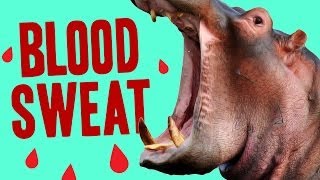 Animal Facts That Will Make You Feel Weird [upl. by Risley]