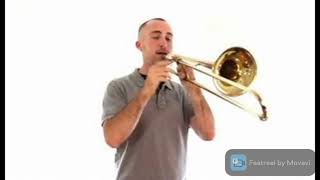 Funny Trombone Sound Effect [upl. by Mellins546]