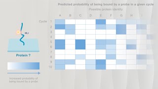 Quantifying proteins on the Nautilus Proteome Analysis Platform [upl. by Rexanna]