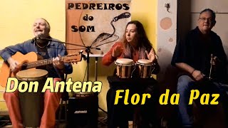 Música  FLOR DA PAZ  Don Antena  Pedreiros do Som [upl. by Hulda]