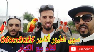 سوق الطيور أكادير ليوم الأحد 05oct2024لقاء مع المواليع الكبار Abdellah zahariBHM94 [upl. by Arais]