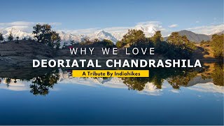 Why We Love The Deoriatal Chandrashila Trek  A Tribute By Indiahikes [upl. by Alimat]