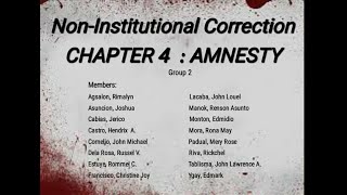 GROUP 2 NONINSTITUTIONAL CORRECTION quotAMNESTYquot [upl. by Charleen559]