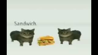 sandwich meme [upl. by Hodges133]