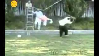 Videos Graciosos PIÑATAS lolmp4 [upl. by Lyndsay]