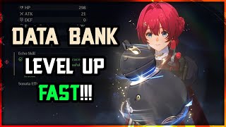 DATA BANK GUIDE FOR FAST LEVEL UP  Wuthering Waves [upl. by Sinnal647]