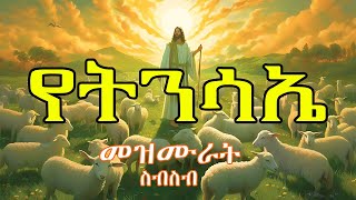 የትንሳኤ መዝሙራት Tinsae mezmur new Ethiopian orthodox Tewahedo mezmur [upl. by Meibers245]