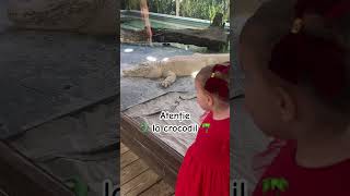 Fiți atenți la crocodil 🐊🌴 ameliaadelia 2sisters celedouăsurori [upl. by Akinirt]