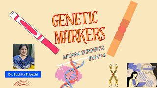 Genetic MarkersMolecular genetics 4AnthropologyInsightsforUPSCNETcuetugcnet upsc [upl. by Lindgren]