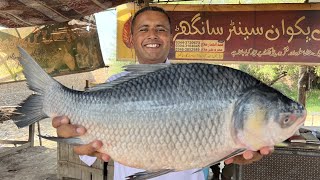 Fish Dum Pukht Recipe  Slow Cooked Fish  Rice Cooked Inside The Fish  Village Food Secrets [upl. by Ecenaj]