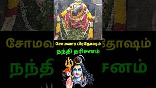 Pradosham Nandi  Arakandanallur Atulya Nadheswarar pradosham sivan pradosam nandi சிவன் நந்தி [upl. by Natalina]