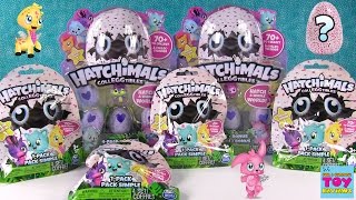 Hatchimals CollEGGtibles Surprise Egg Opening Limited Edition Toy Review  PSToyReviews [upl. by Dinsmore]