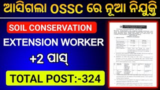 ଆସିଗଲା OSSC ରେ ନୂଆ ନିଯୁକ୍ତି 🔥🔥OSSC SCEW RECRUITMENT 2024LATEST ODISHA GOVT JOBS [upl. by Hillery516]