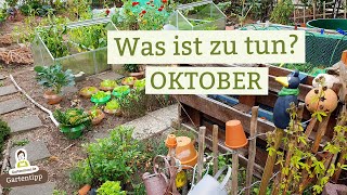 Die wichtigsten Gartenarbeiten im Oktober Damit du nichts vergisst [upl. by Disario741]