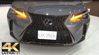 2019 New Lexus UX 250h F Sport Review Interior Exterior  Lexus UX 250h 2019  レクサス UX 250h 2019 4K [upl. by Bellamy785]