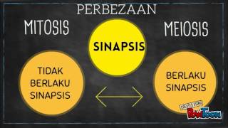 MITOSIS DAN MEIOSIS [upl. by Daraj]