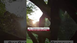 Der Campus der Gaesdonck beeindruckt durch seine Lage an der niederländischen Grenze [upl. by Templas]