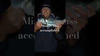 Mission bass accomplished seabass fishing seabassfishing [upl. by Bluh858]