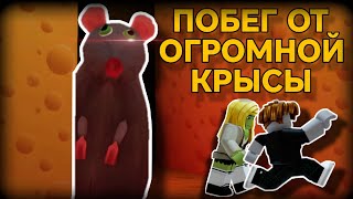 НУБ И ПРО СБЕГАЮТ ОТ СТРАШНОЙ КРЫСЫ  Cheese Escape [upl. by Jonme139]