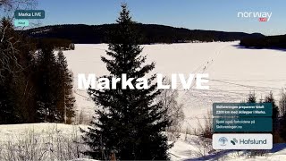 Marka LIVE [upl. by Einoj]