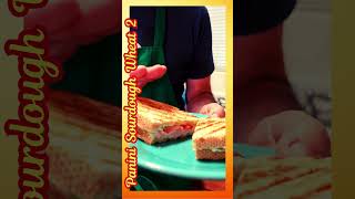 Panini Sandwiches 2 pannini sandwhiches italy healeadteach2923 [upl. by Akimahc244]