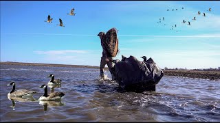 SPRING CANADA GOOSE HUNTING  self filmed [upl. by Steffy]