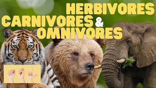 ASL Herbivores Carnivores and Omnivores for Kids [upl. by Aleydis]