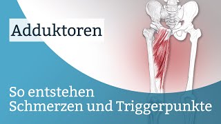 Adduktoren Schmerzen Triggerpunkte und deren Aktivierung [upl. by Dotson]