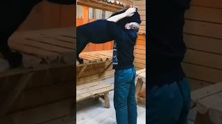 A cat became black panther shorts viralvideo black [upl. by Ylloh]