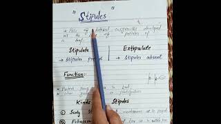 Stipules and its types englishfunction of stipules difference between stipulate and exstipulate [upl. by Melvina]