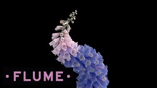 Flume  Tiny Cities feat Beck [upl. by Doi]